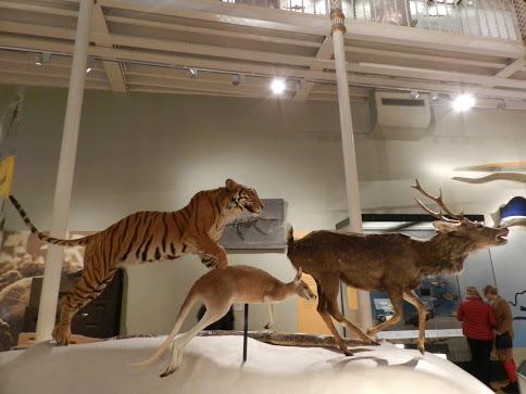 National Museum of Scotland