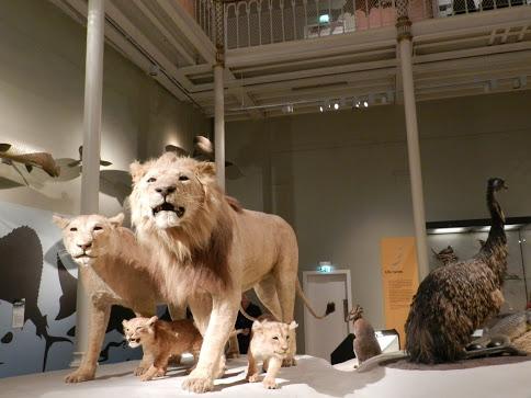 National Museum of Scotland