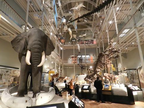 National Museum of Scotland