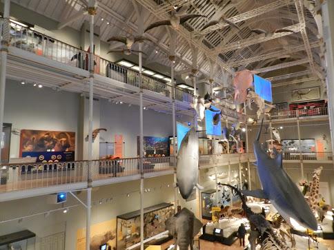 National Museum of Scotland