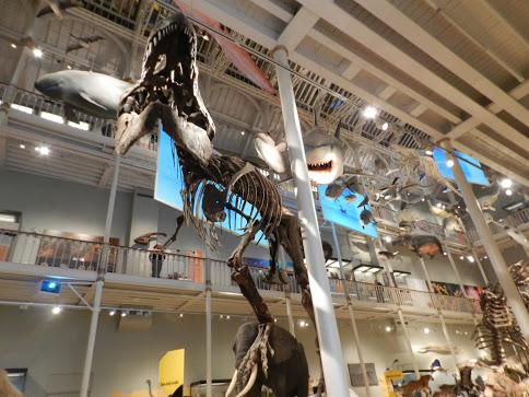 National Museum of Scotland