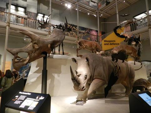 National Museum of Scotland