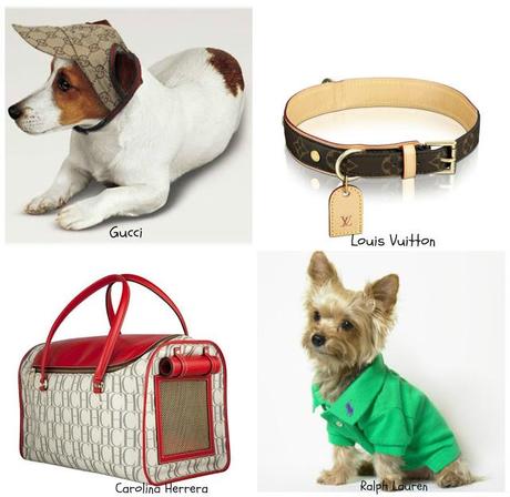 Los mejores complementos para nuestras mascotas