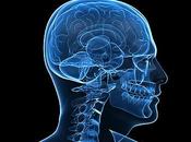 mentes quimeras (segunda parte)
