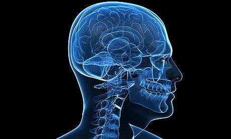De mentes y quimeras (segunda parte)