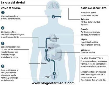 Los riesgos del abuso de alcohol Infografia-Alcohol