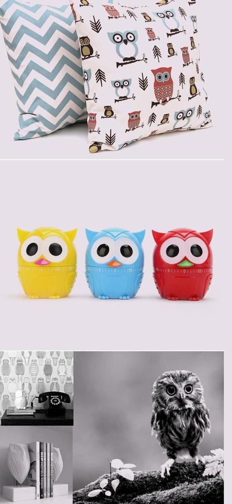 UN BÚHO EN CASA buhos_animales2