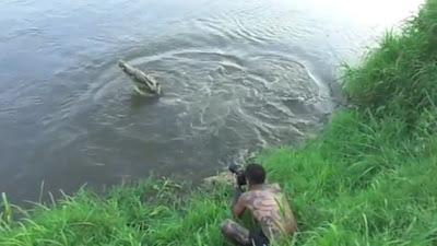 cocodrilo ataca a joven fotografo en costa rica