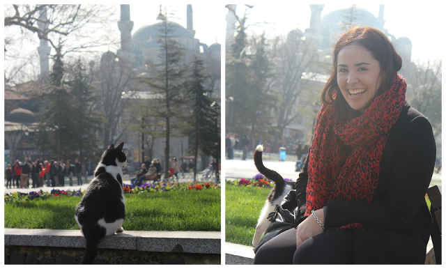 La Mezquita Azul #Estambul