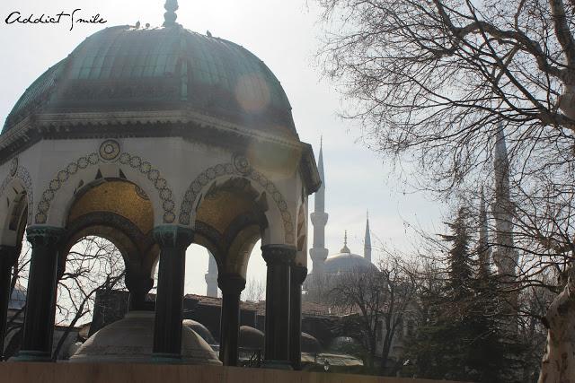 La Mezquita Azul #Estambul
