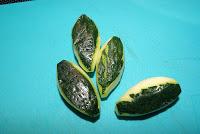 Menestra de Verduras