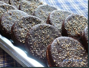 galletas maria chocolatadas copia