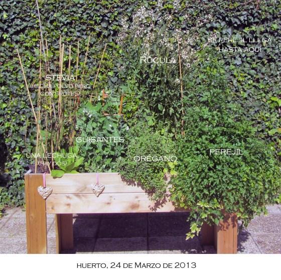 huertomarzo13