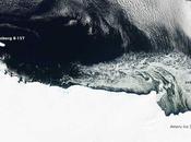 Icebergs hielo marino costa Antártida