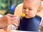 consumo elevado carbohidratos bebés favorecería obesidad edad adulta