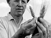 gran hombre, Norman Borlaug