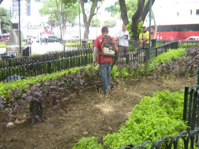 EL RECREO EJE Nº 5 -Plaza Las Delicias - Utilizan el agua pública para lavar carros