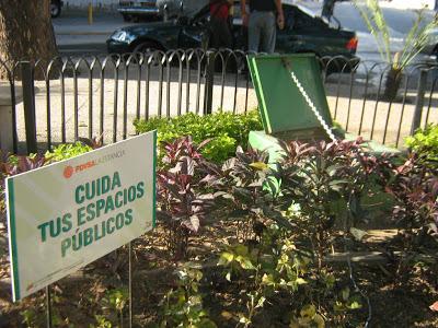 EL RECREO EJE Nº 5 -Plaza Las Delicias - Utilizan el agua pública para lavar carros
