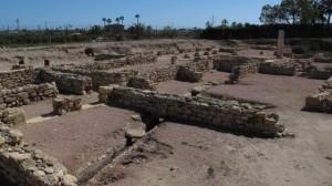 Elche, Dama y Huerto Gourmet