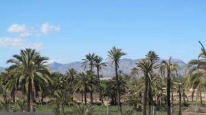 Elche, Dama y Huerto Gourmet