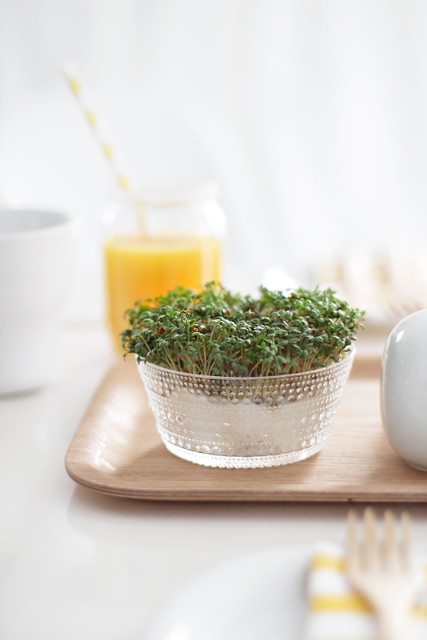 Preparar_la_mesa_bonita_para_el_desayuno