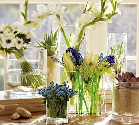 LA PRIMAVERA EN MI VENTANA