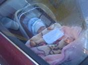 Abandona dentro coche bebé nota teléfono