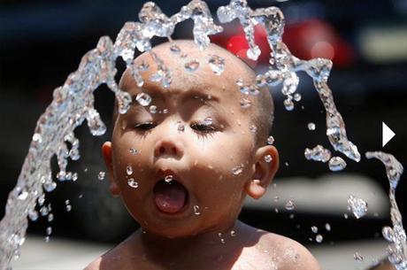 Las mejores fotografías del 2012 según Wall Street Journal