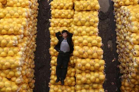 Las mejores fotografías del 2012 según Wall Street Journal