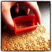 Foto 26-03-13 12 39 29