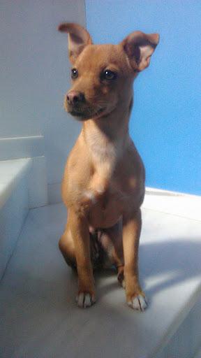 CLEO, DE NUEVO CON NOSOTROS.