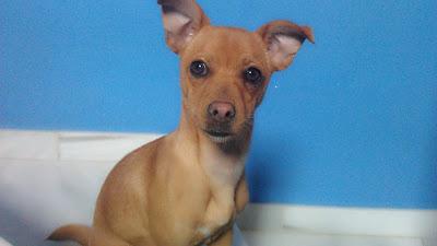 CLEO, DE NUEVO CON NOSOTROS.