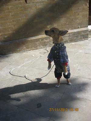 CLEO, DE NUEVO CON NOSOTROS.