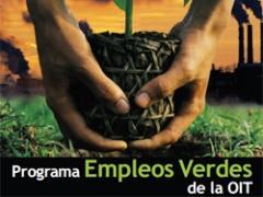 La sostenibilidad del medio ambiente no extermina empleos