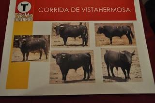 Feria de Puebla 2013