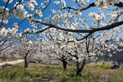 Fin de semana con mucho encanto en el Jerte