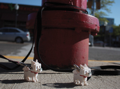 Animales miniatura invaden calles