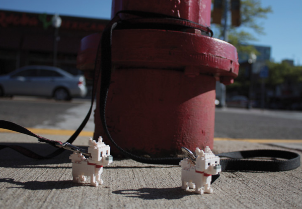 Nanoblock panda perro león lego calle ambient marketing de equipo detroit calle 1