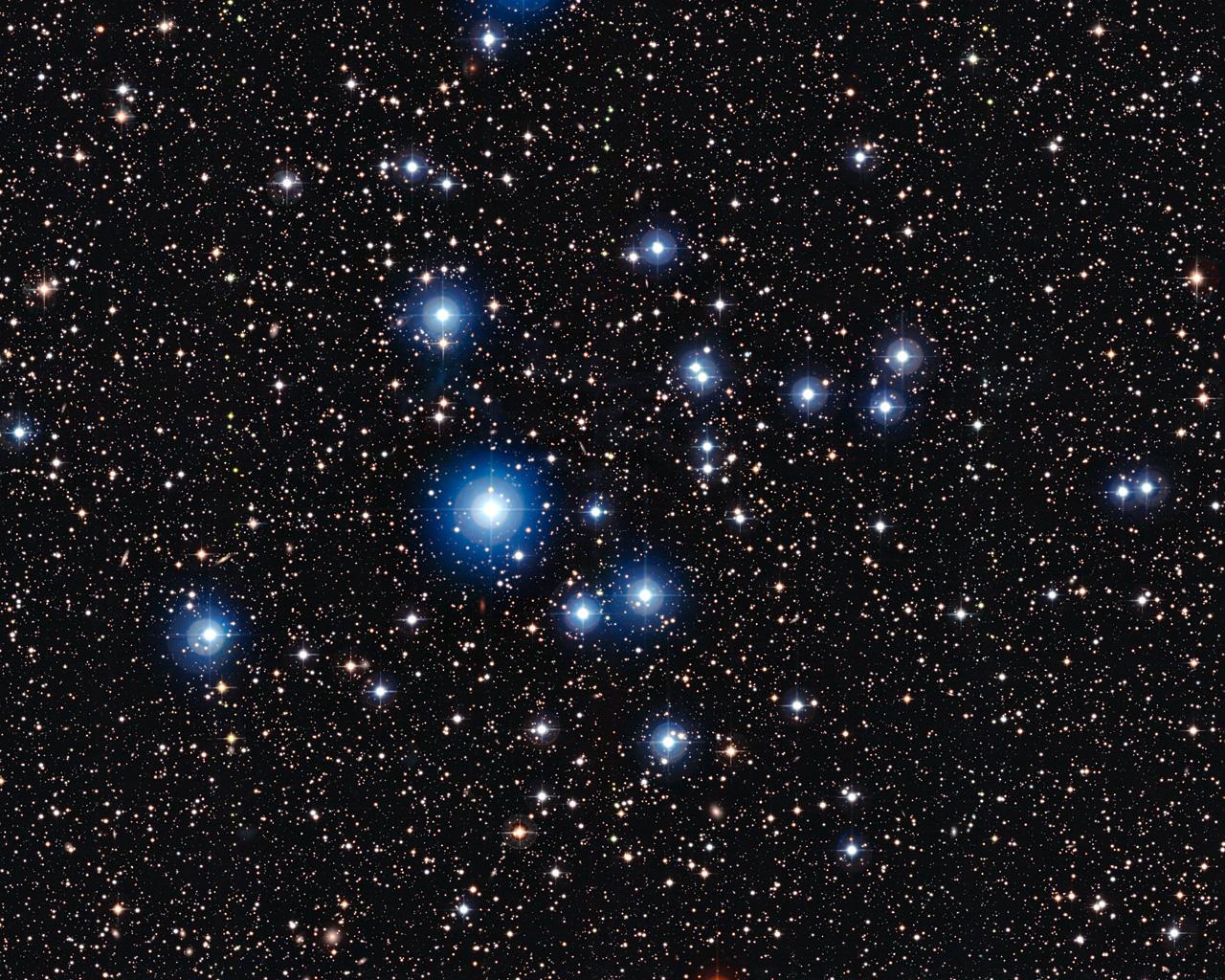 Jóvenes, calientes y azules