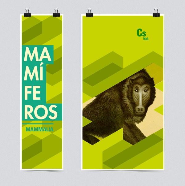 identidad museo argentino de ciencias naturales