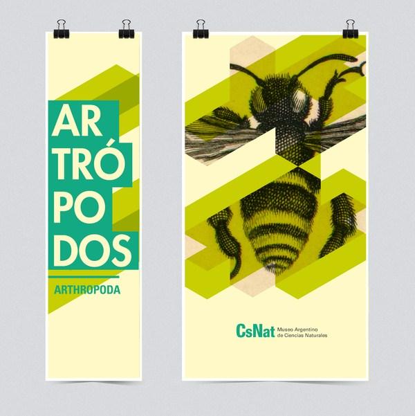 identidad museo argentino de ciencias naturales