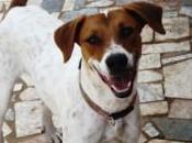 buena Lola necesita‏.