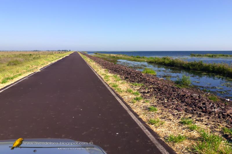 3 horas en la Reserva Rincón Santa María