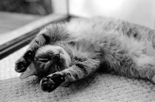 Selección de Cabeceros