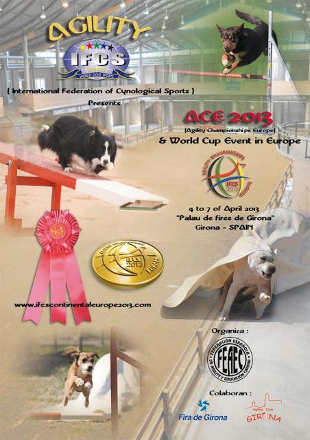 Agility Championships Europe and World Cup Event in Europe