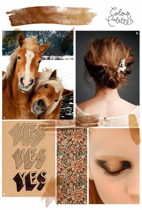 paleta de fotos de colora marrón fotos en tonos marrón