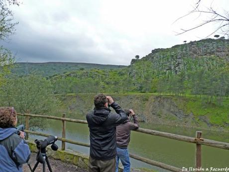 Avistamiento de aves en Monfragüe
