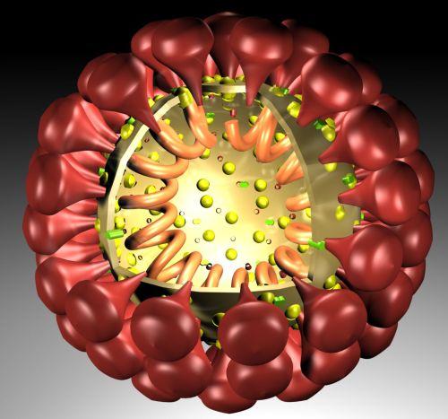 Nuevo Coronavirus Amenaza a la Humanidad