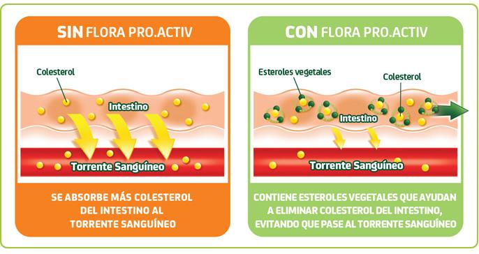 ¿Te apuntas al reto Flora Proactiv?