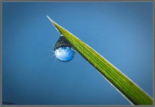 Volver a las preguntas